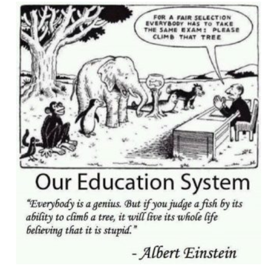 Onder-Wijs