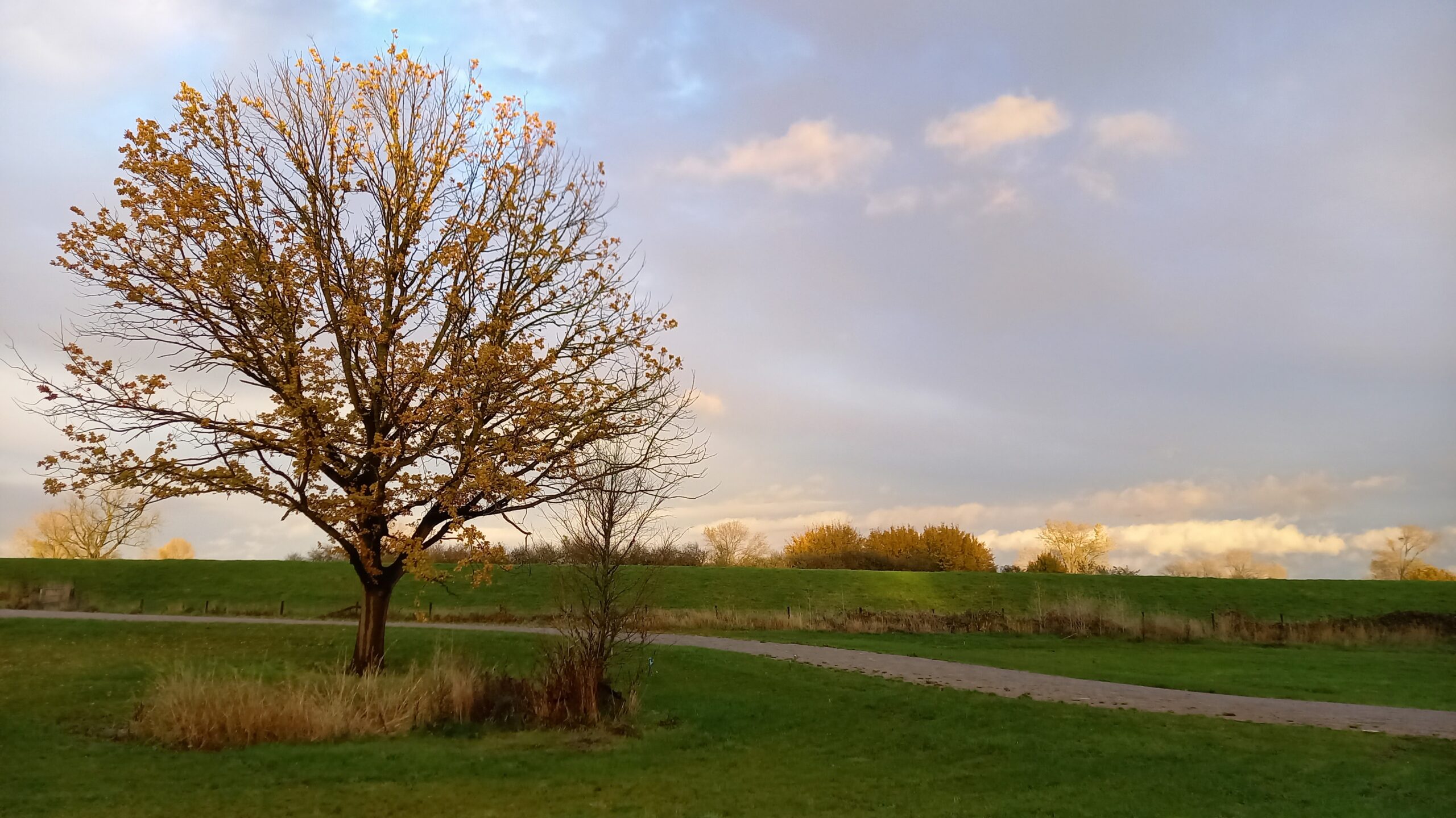 Land-schap