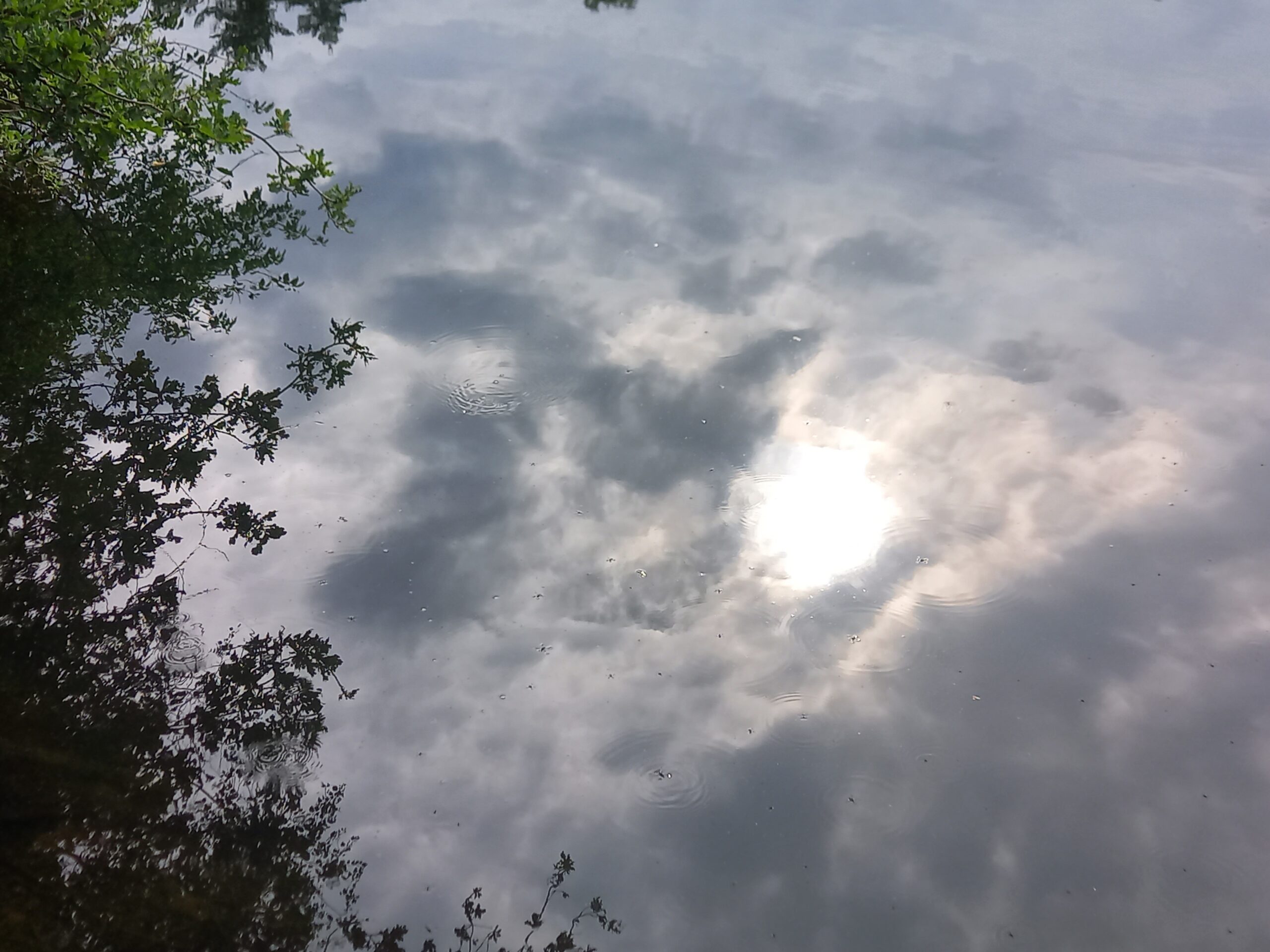 Licht