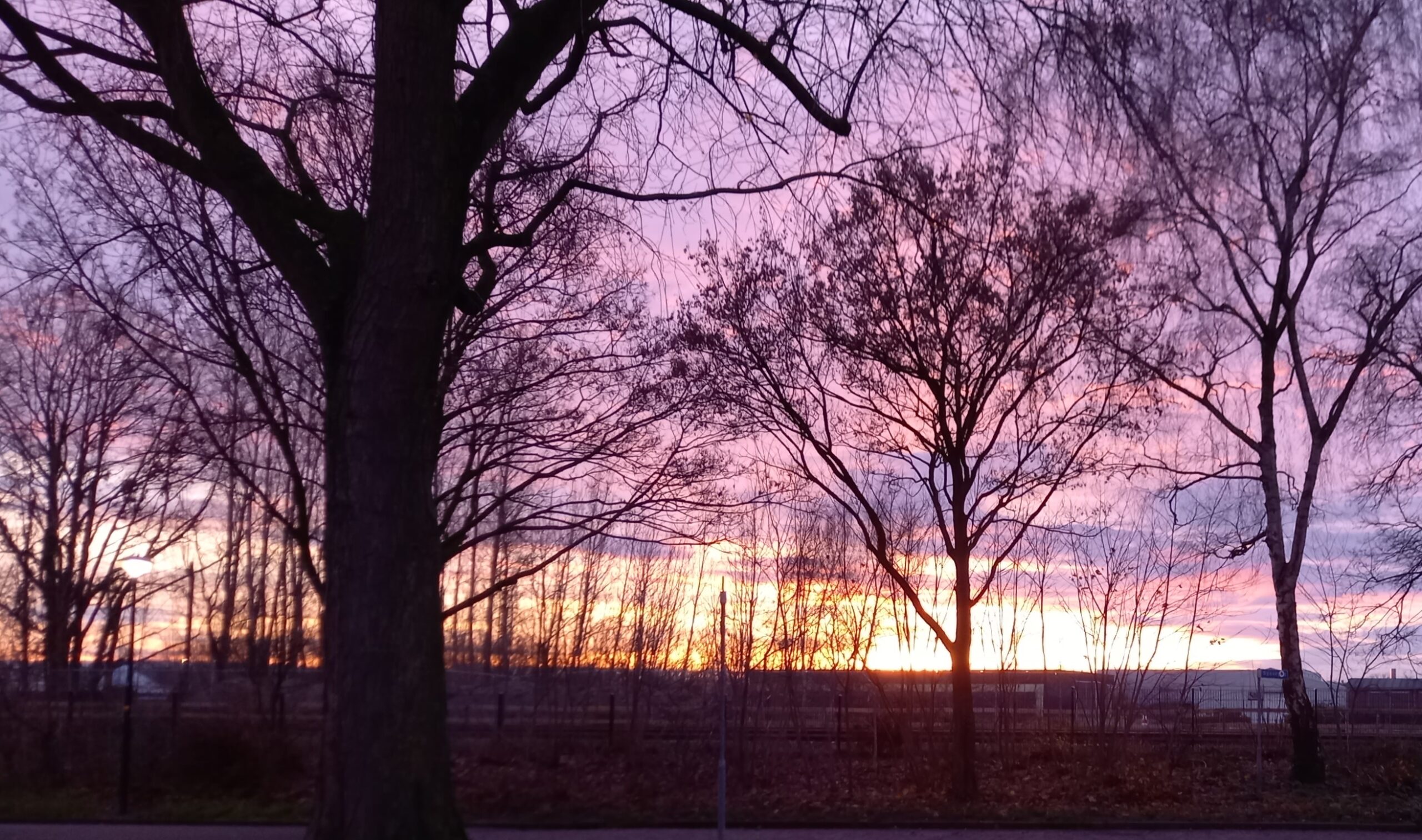 Winterlicht