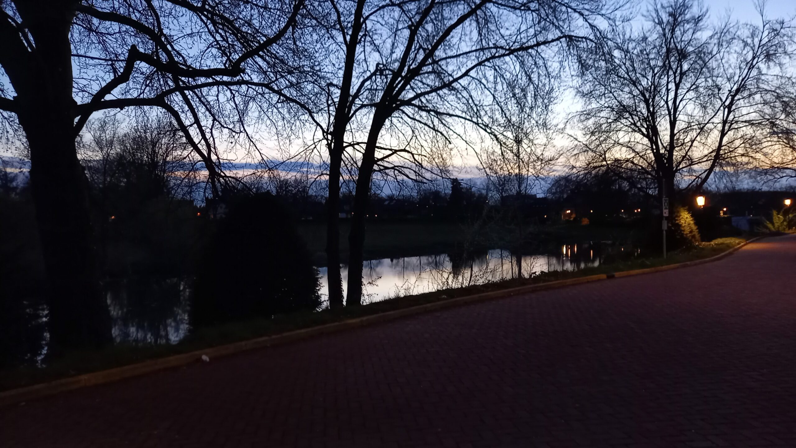 Verdriet