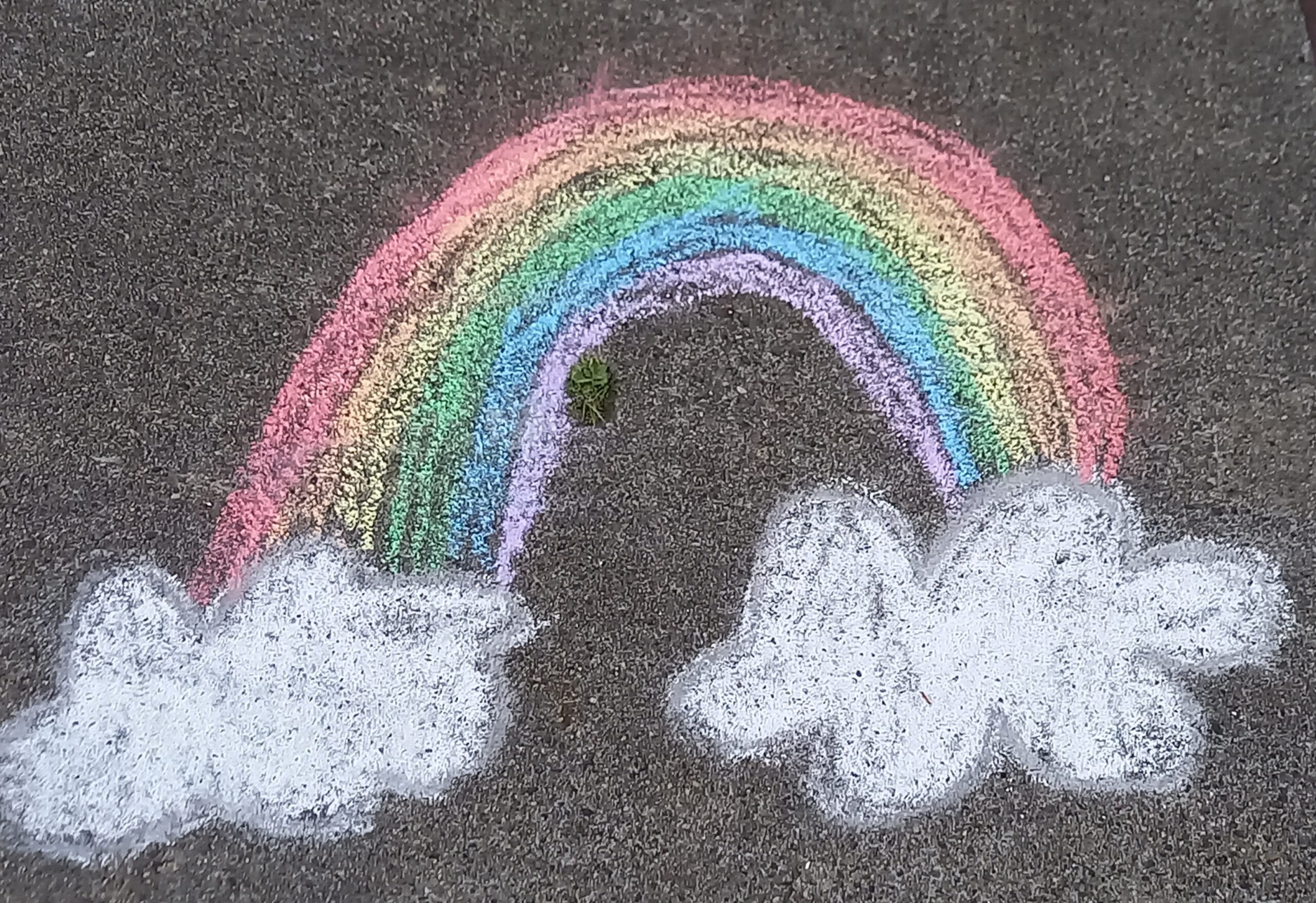 Regenboog