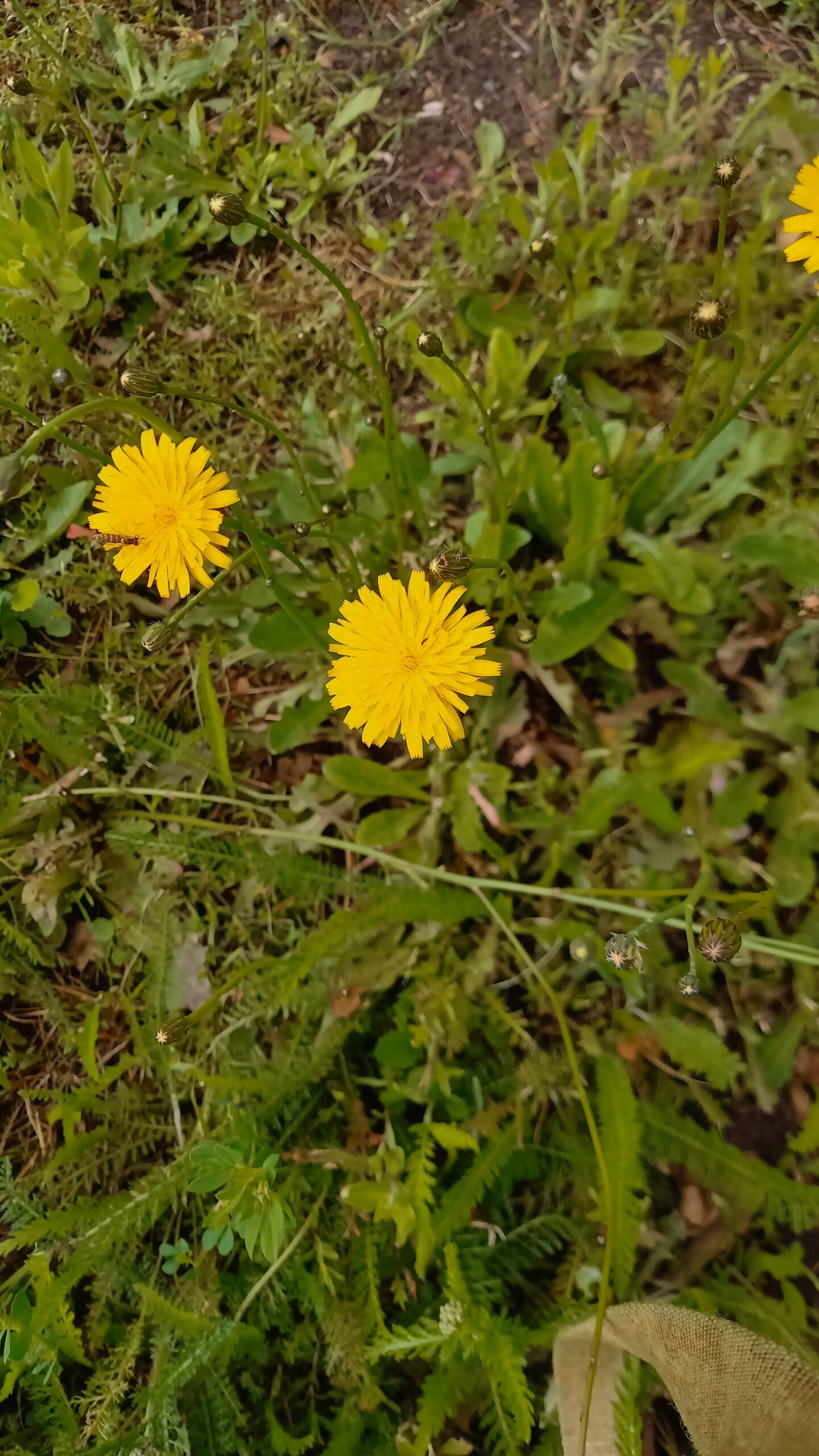 Natuur