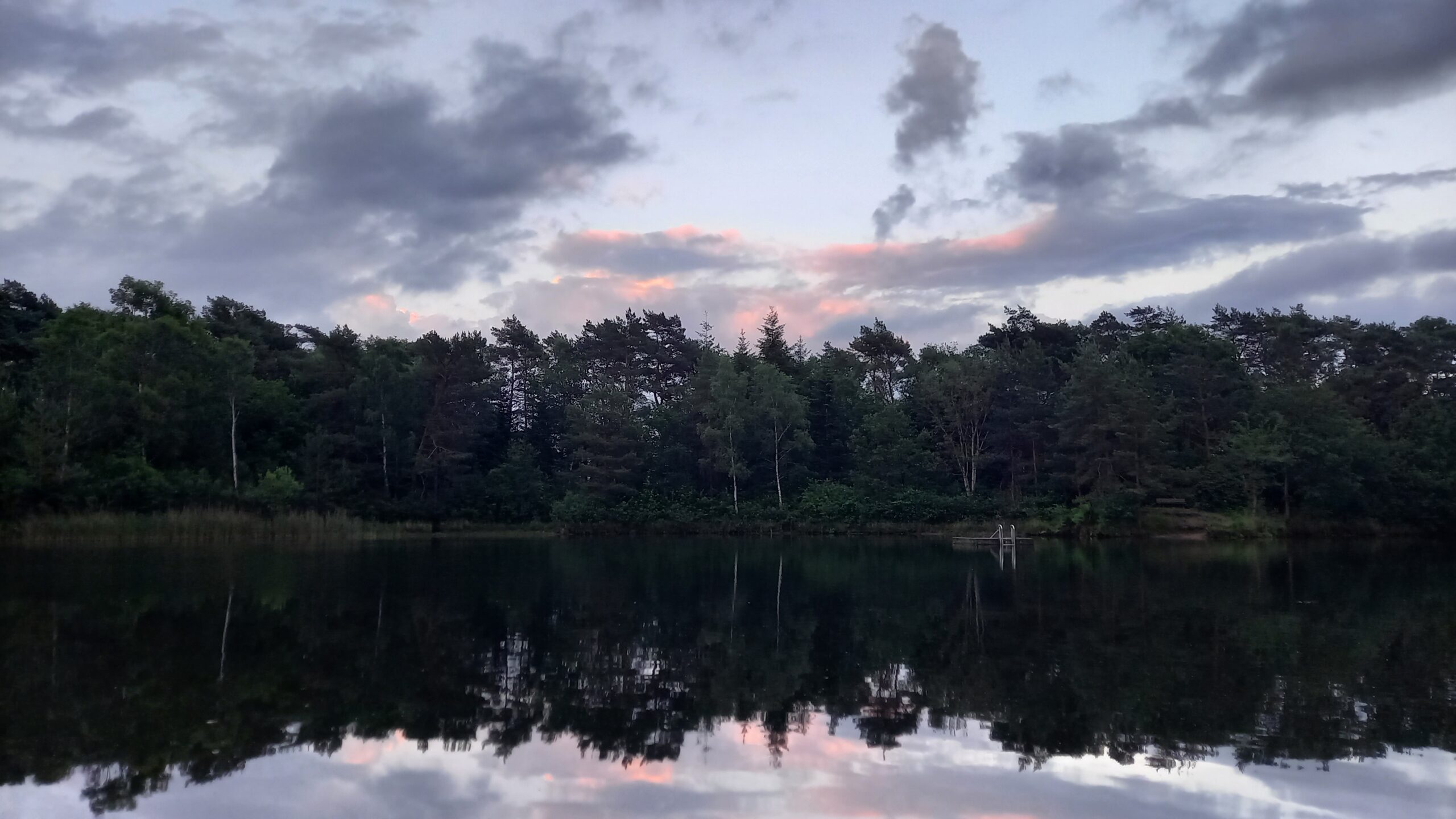 Heimwee